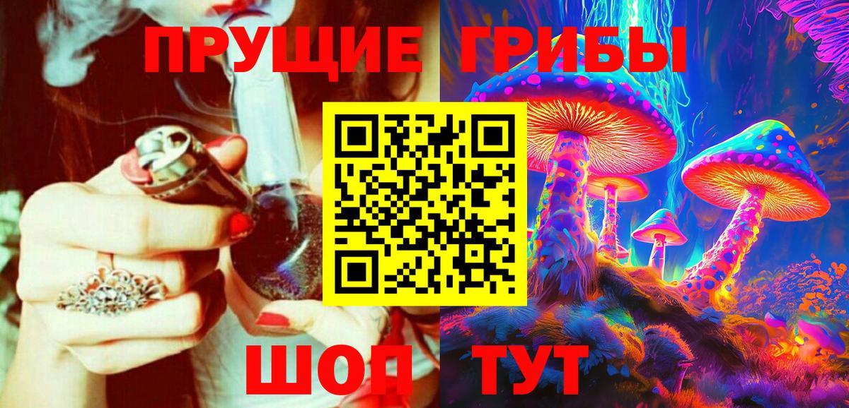 Галлюциногенные грибы GOLDEN TEACHER  Галлюциногенные грибы Psilocybine cubensis  Знаменск  Вход с VPN 